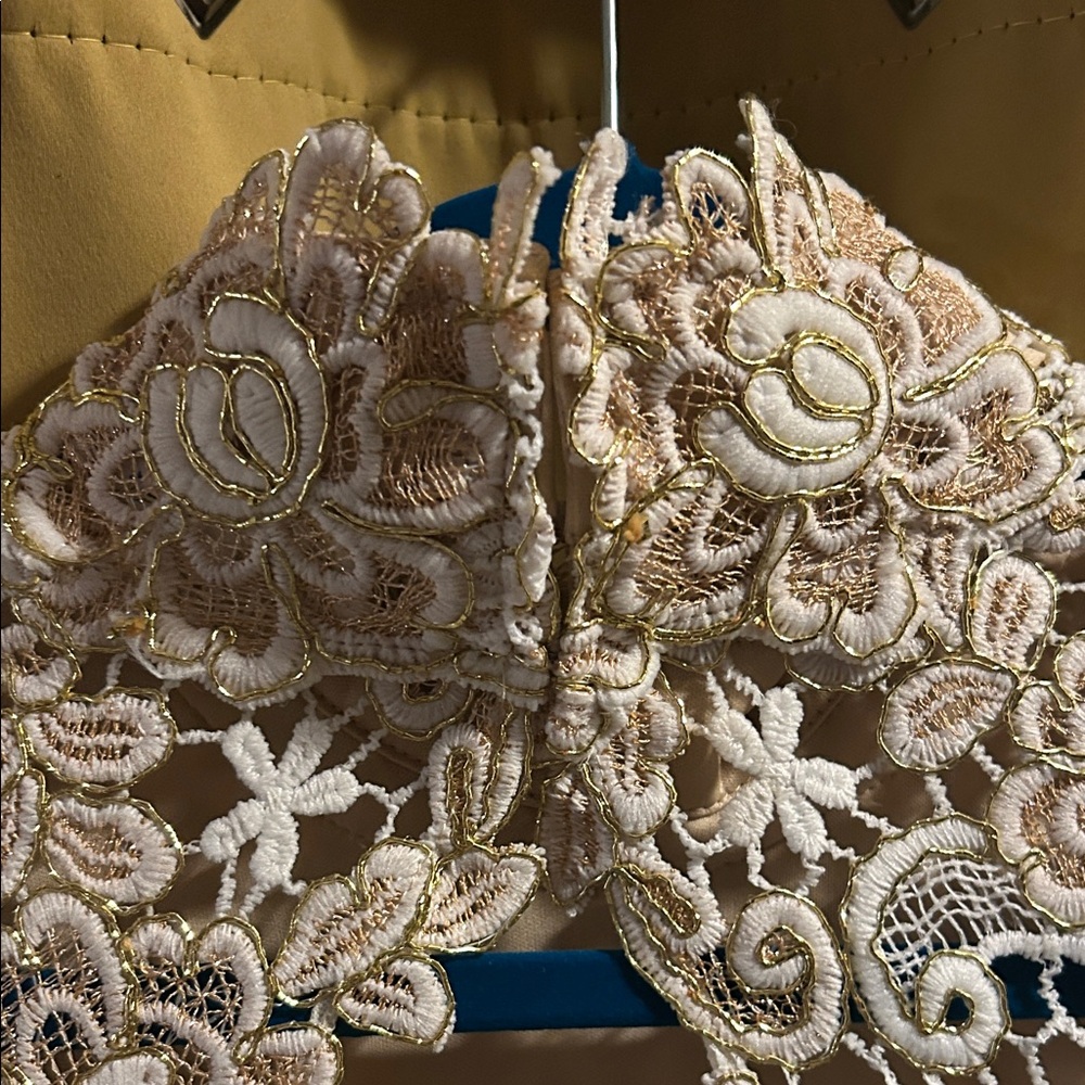 VENUS Lace Long Sleeve Dress in Cream and Gold with Expose back. Nude liner - Picture 9 of 11